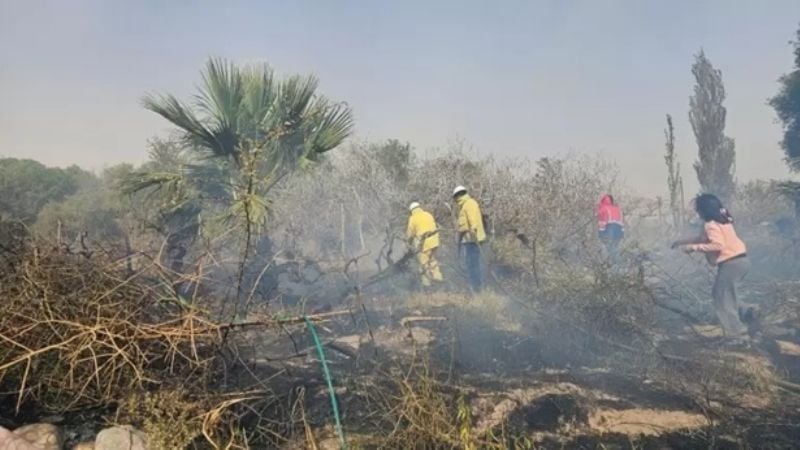 Incendio de viñedos causó alarma en el centro de Fiambalá