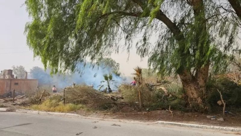 Incendio de viñedos causó alarma en el centro de Fiambalá