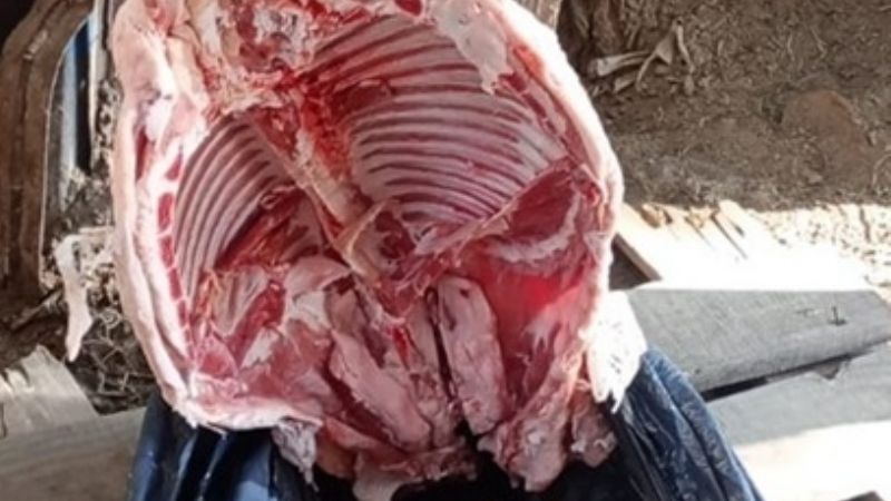 Incautan animales faenados vinculados a un robo