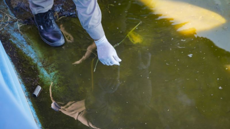 Salud reporta nuevos casos de chikungunya en la provincia