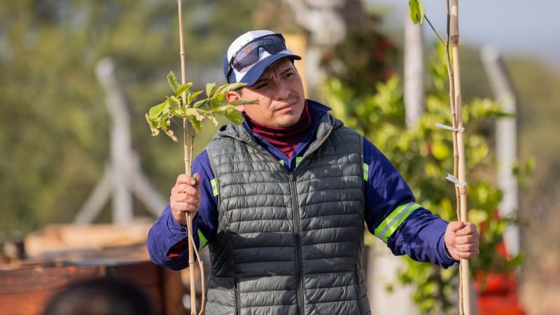 Entregaron árboles y mobiliario sustentable en Valle Chico