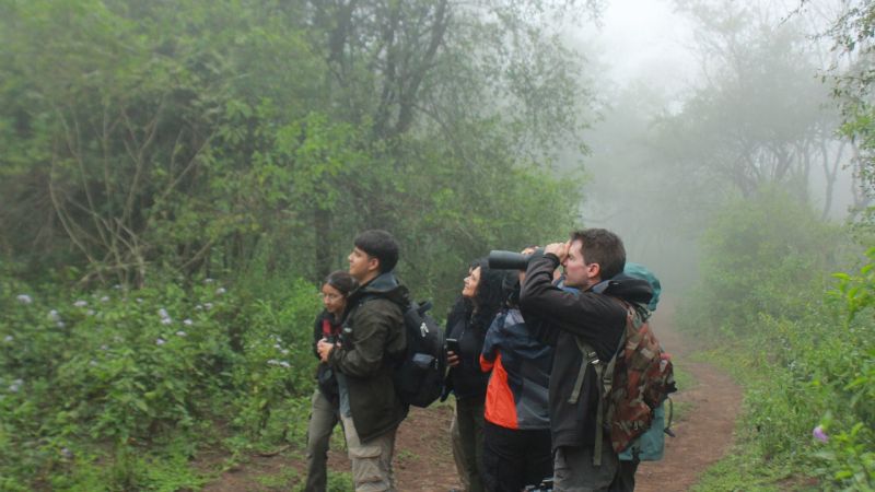 Se podrá realizar avistaje de aves en Pueblo Perdido