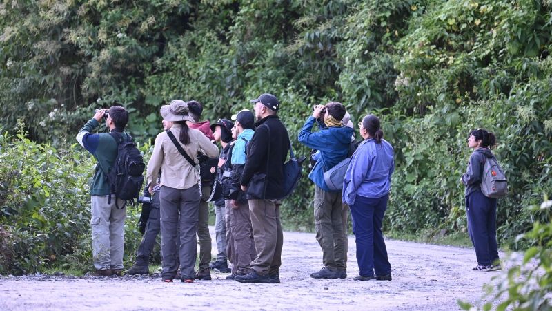 Se podrá realizar avistaje de aves en Pueblo Perdido