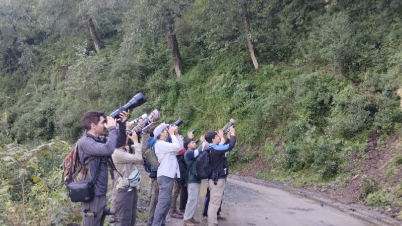 Se podrá realizar avistaje de aves en Pueblo Perdido