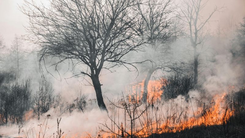 Alerta en Pomán: Incendio en Cerro El Manchao devora 805 hectáreas