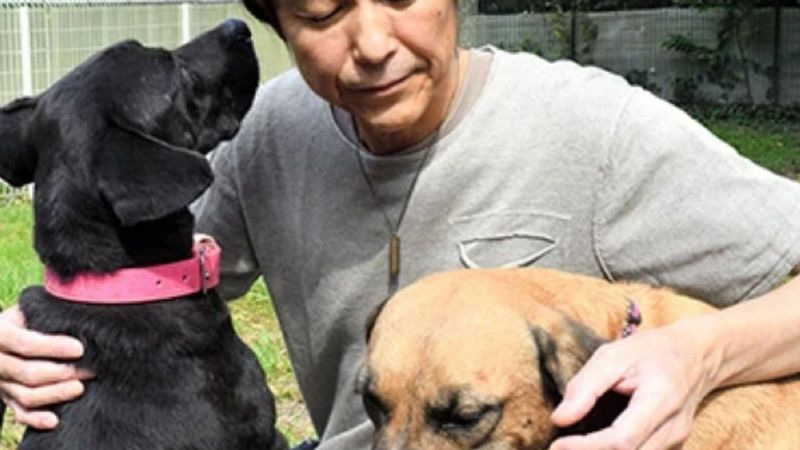 Su perro le salvó la vida y él vendió su Ferrari para salvar a otros: el emotivo gesto de un hombre japonés