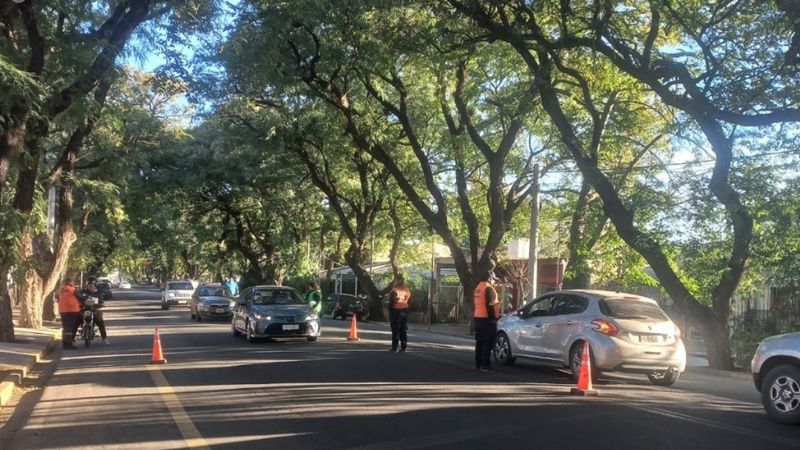 Cuatro detenidos en procedimientos de control