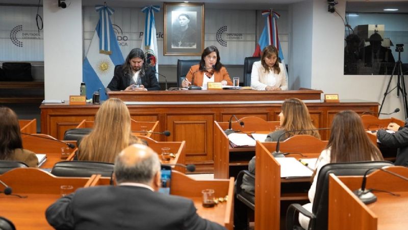 El Senado expresó su satisfacción por los avances en el Corredor por el Paso de San Francisco