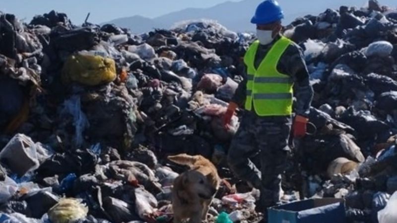 Perros de la policía local participaron de búsqueda de tres hombres en Jujuy