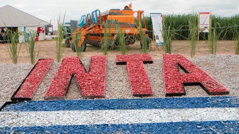 El Gobierno eliminó la Dirección Nacional del INTA