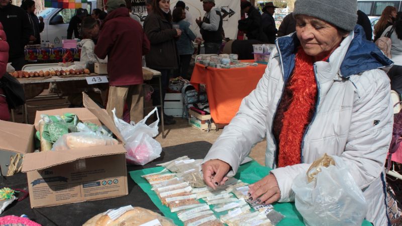 Se viene la 23° Feria Provincial de Intercambio de Semillas nativas y criollas