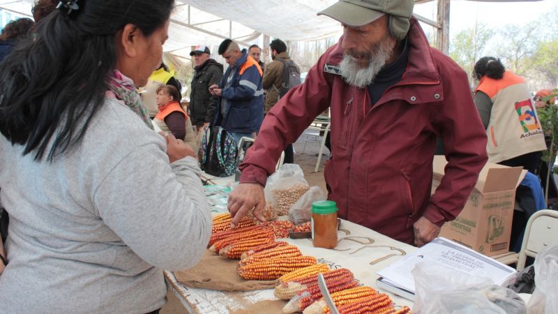 Medanitos se prepara para la 23ª Feria Provincial de Semillas Nativas y Criollas