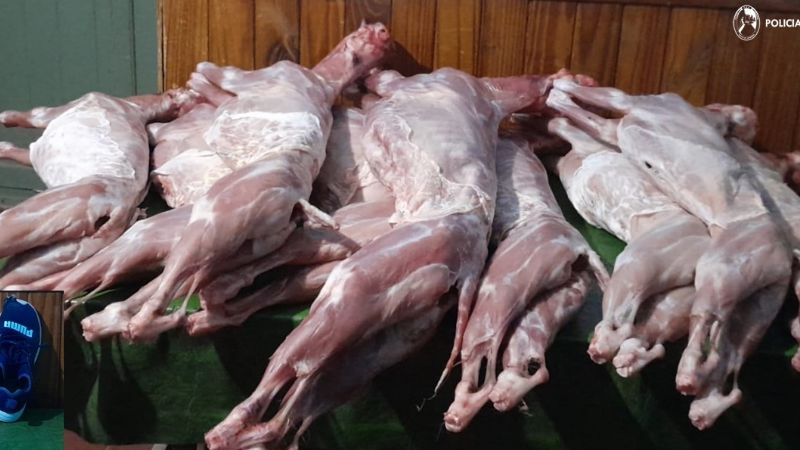 En La Paz policías recuperaron animales sustraídos y arrestaron a una persona