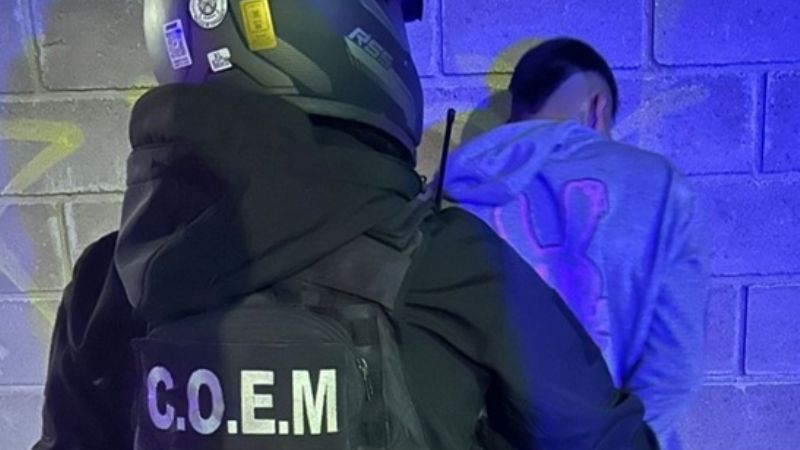 Se agarró a las piñas con un supuesto ladrón