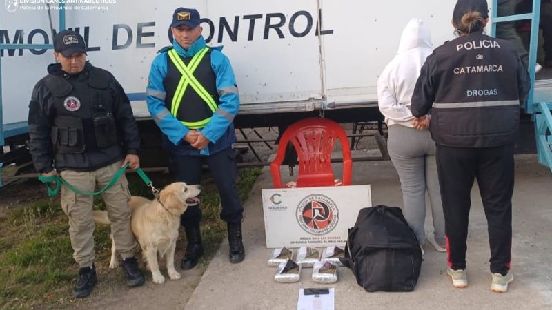 Secuestran más de 5 kilos de Cogollos de Marihuana y detuvieron a una joven mujer