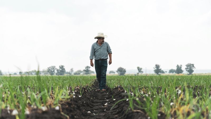 La confianza del agro cae 15% en 2025 y la inversión se desploma 59%