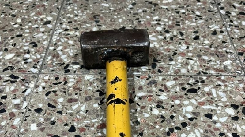 Amenazó con matarle el perro de un mazazo