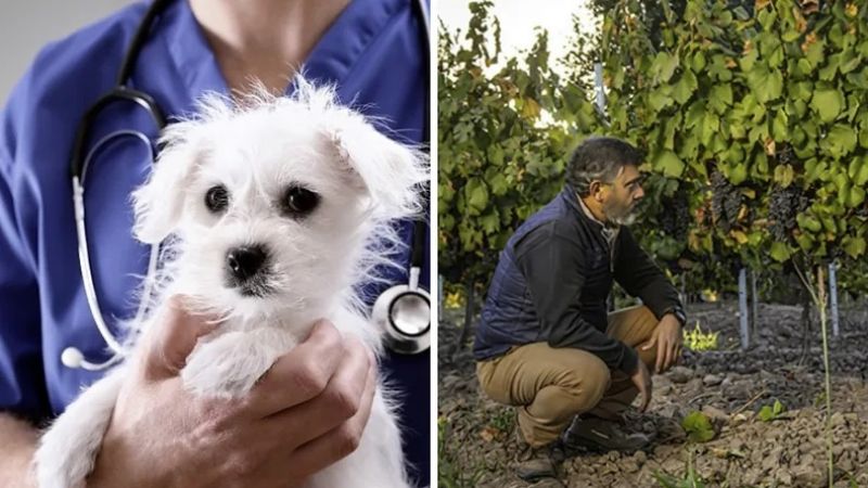Día del Veterinario y del Ingeniero Agrónomo