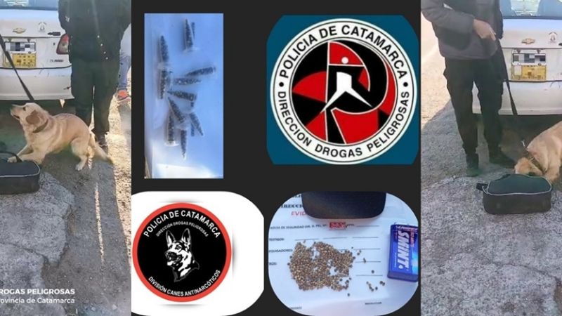 Taxista fue detenido con casi 500 semillas de marihuana