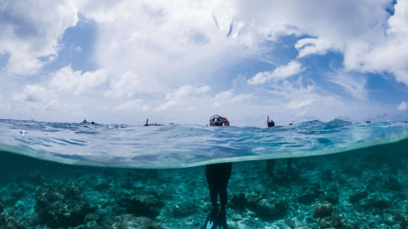 Al menos ocho muertes por una bacteria carnívora presente en el mar en Estados Unidos