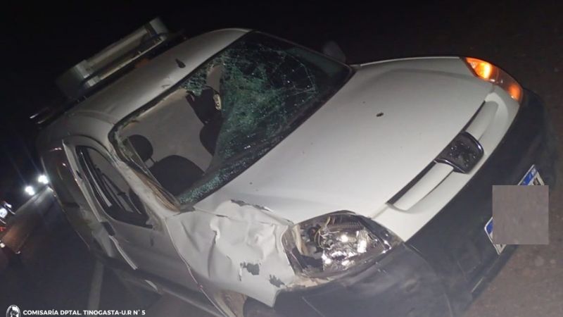 Chocó contra un animal suelto en la ruta