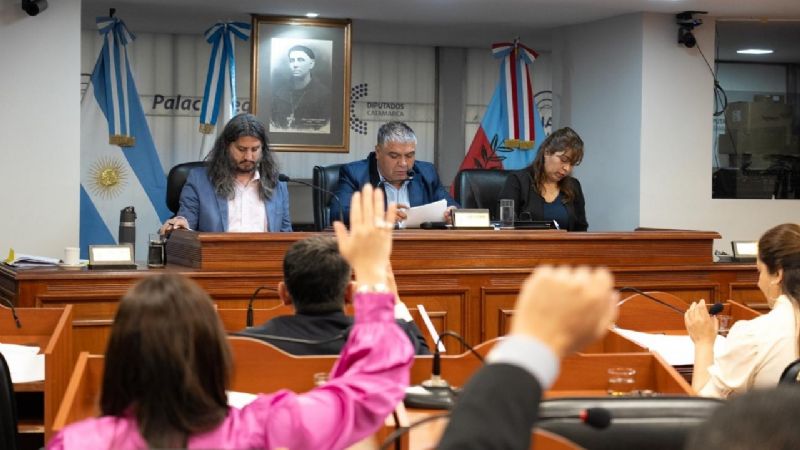 Es Ley la creación de la línea telefónica gratuita “Proteger”