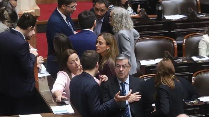 Diputados contra los vetos de Milei