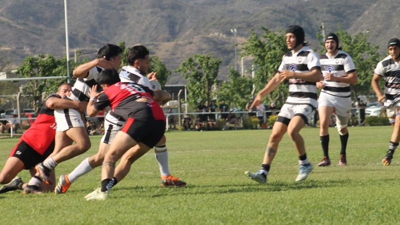 Los Teros venció a Hurones y es el otro finalista