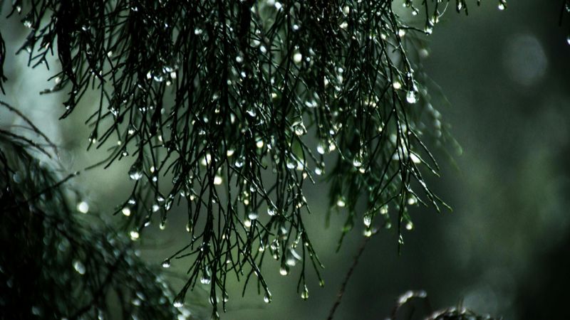 Alerta en Argentina por una extraña anomalía climática: vuelven las lluvias intensas