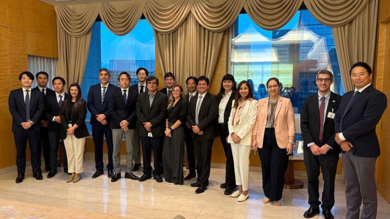 Catamarca busca atraer inversiones mineras en Japón