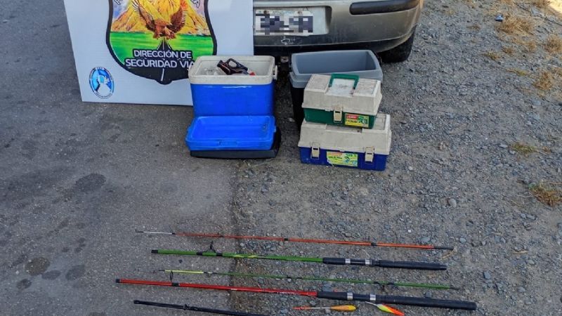 Transportaban  80 pescados sin cadena de frío