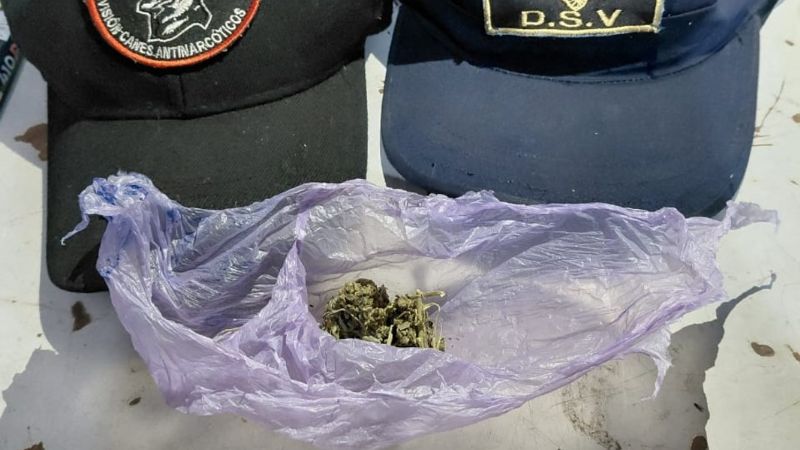 Secuestran Marihuana en un Puesto Caminero de la Capital