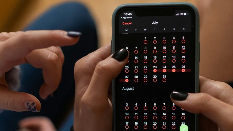 Milei adelantó un feriado y noviembre tendrá un fin de semana largo de cuatro días