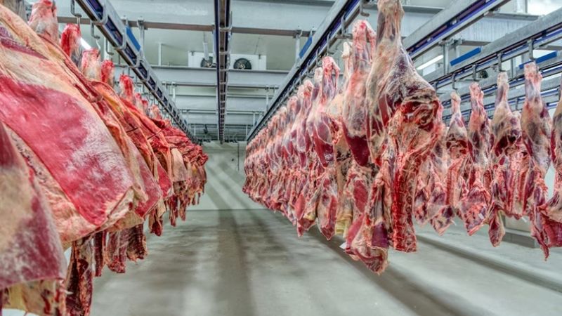 Extienden la quita temporal de retenciones también a las carnes bovinas y avícolas