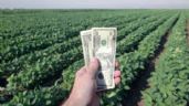 Las exportaciones del agro ya alcanzaron el cupo de u$s7.000 millones