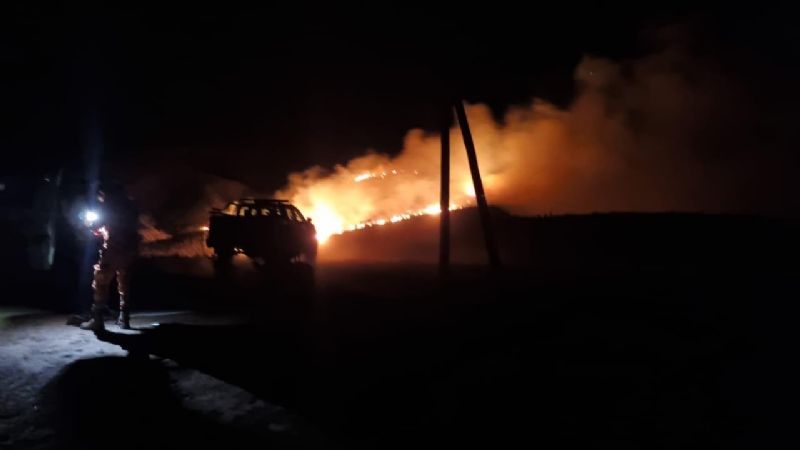 Protección Civil y la Brigada de Incendios Forestales trabajan intensamente tras el viento zonda e incendios