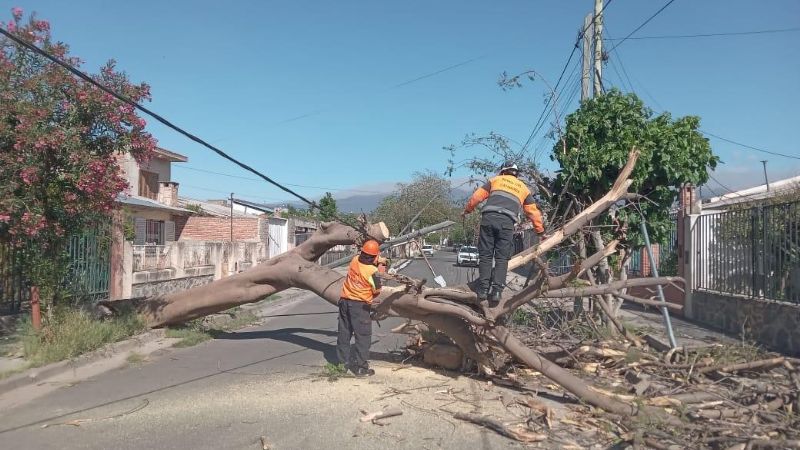 Protección Civil y la Brigada de Incendios Forestales trabajan intensamente tras el viento zonda e incendios