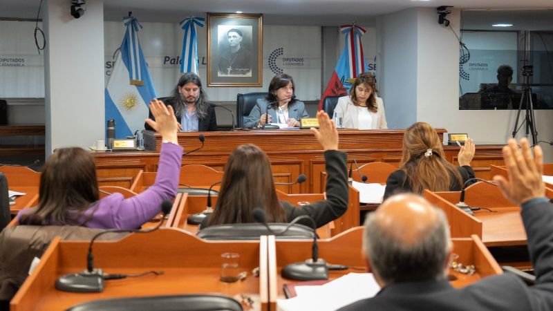 Media sanción al proyecto de terapias asistidas con mascotas