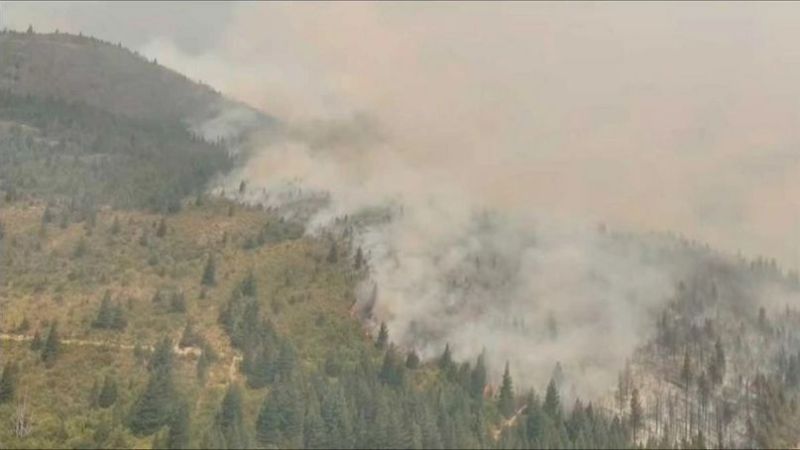 El incendio ya consumió casi 12 mil hectáreas, pero las lluvias trajeron algo de alivio