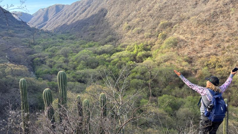 Imperdible propuesta en vacaciones: descubrir Catamarca a través de sus montañas