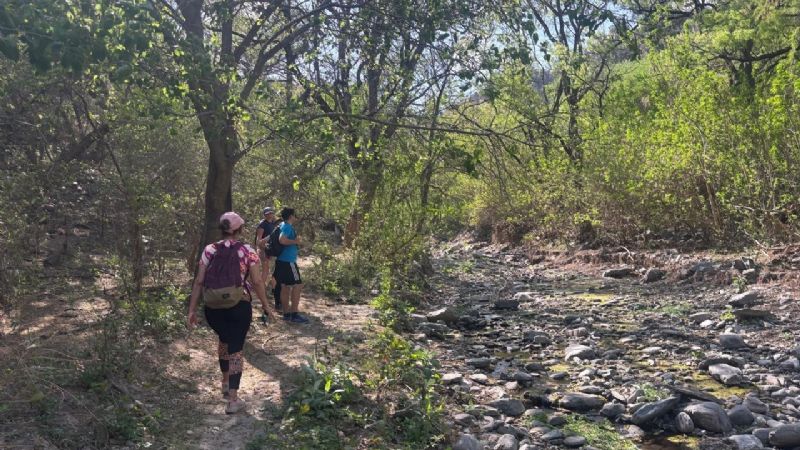 Imperdible propuesta en vacaciones: descubrir Catamarca a través de sus montañas