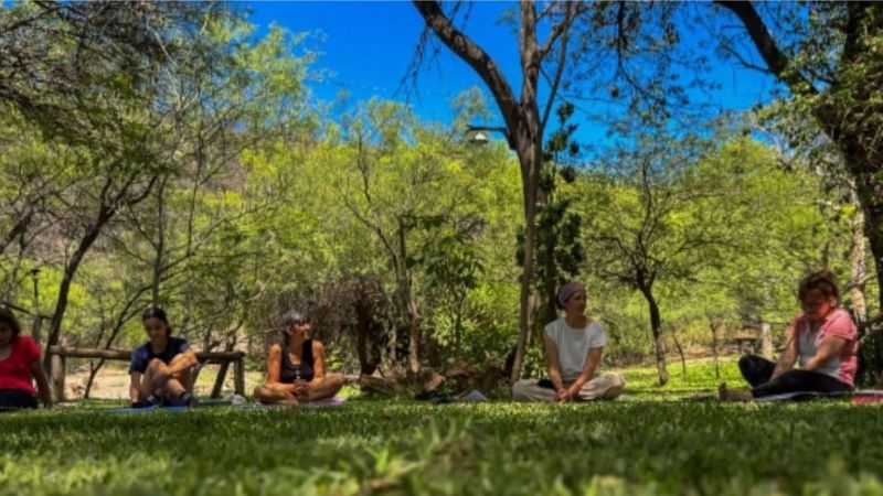 Clases de yoga al aire libre para conectar con la naturaleza en El Jumeal
