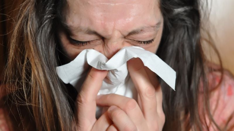 Equipos de salud en alerta ante la circulación anticipada de Influenza A