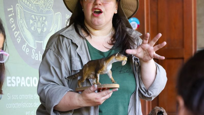 La Mega Fauna de Catamarca convocó a pequeños “paleotólogos” en Pueblo Perdido
