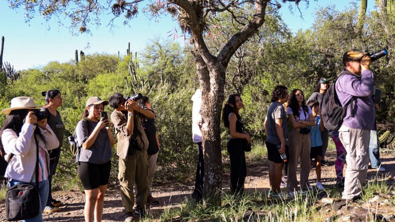 Nuevo safari fotográfico en La Quebrada