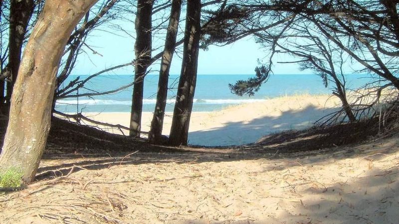 Apareció un dedo humano en la playa y reaparece la temida “mujer de los cuchillos”