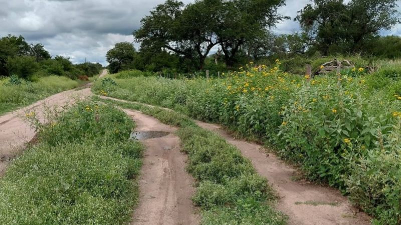 Vecinos de Salauca y Ampolla reclaman con urgencia la reparación de caminos