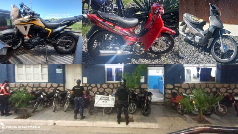 Secuestraron más de 50 vehículos y arrestaron a 12 personas