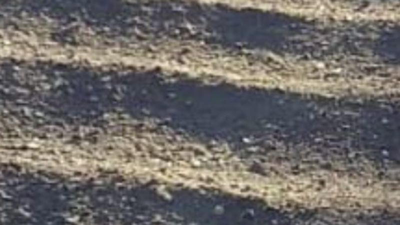 Vecinos del barrio Ongoli reclaman abandono y falta de obras básicas