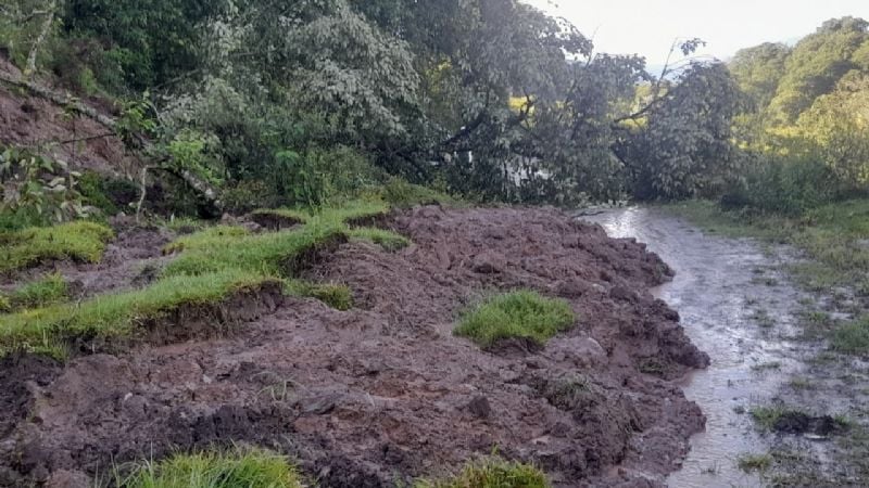 Corte total en la Cuesta de El Clavillo por derrumbes y caída de árboles